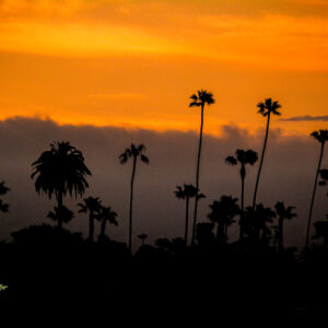 August 7 & 8, 2026 - California Roots - 6 p.m.